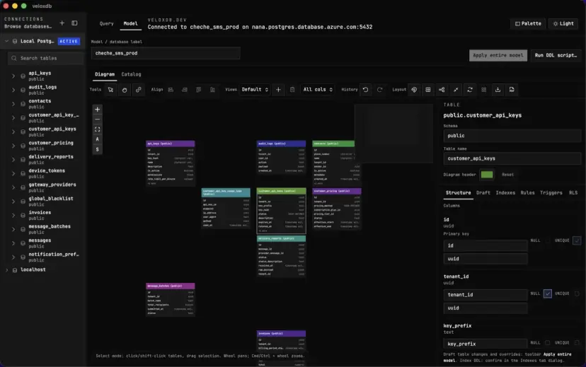 VeloxDB product interface